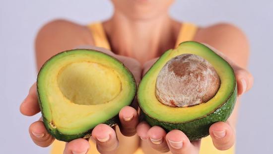 Cosechan miles de tonelas de aguacate al año en Edomex